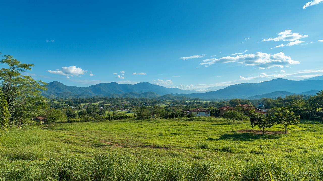 Alquilar un terreno baldío: todo sobre zonificación urbana y licencias necesarias